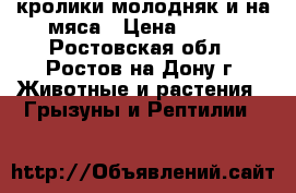 кролики молодняк и на мяса › Цена ­ 200 - Ростовская обл., Ростов-на-Дону г. Животные и растения » Грызуны и Рептилии   